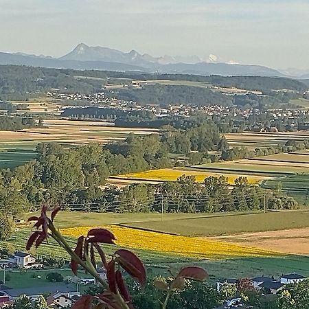 Bed and Breakfast Swiss Borzoi House Vully-les-Lacs Exterior foto