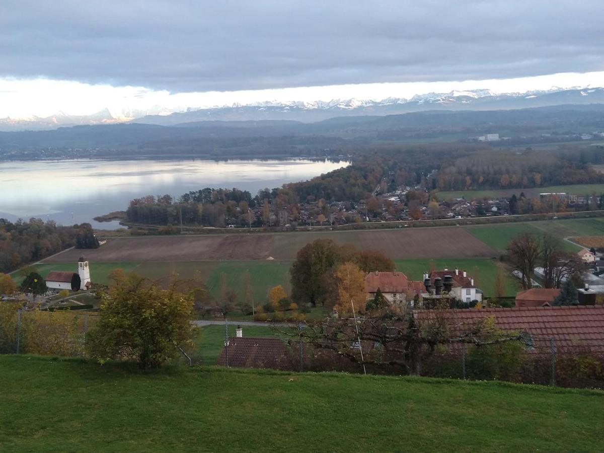 Bed and Breakfast Swiss Borzoi House Vully-les-Lacs Exterior foto