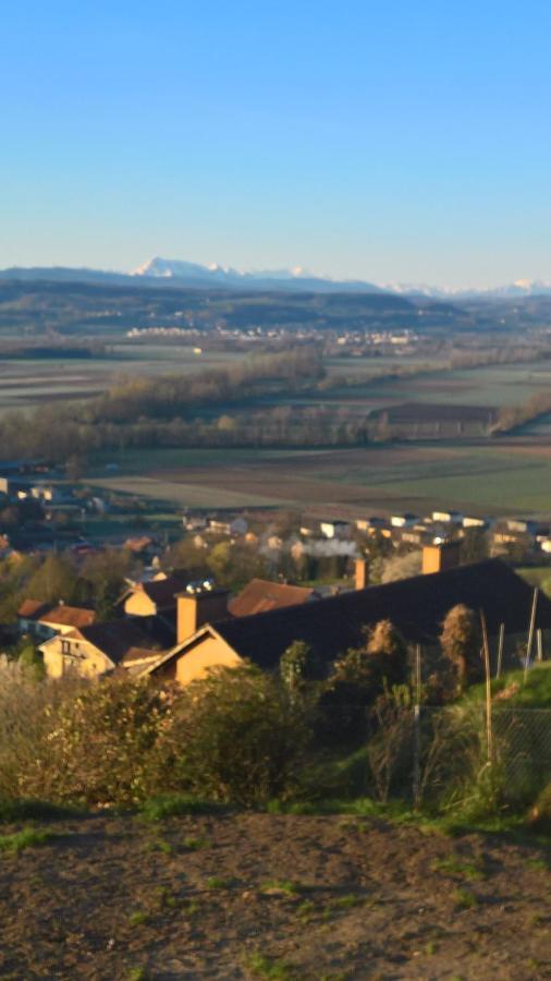Bed and Breakfast Swiss Borzoi House Vully-les-Lacs Exterior foto