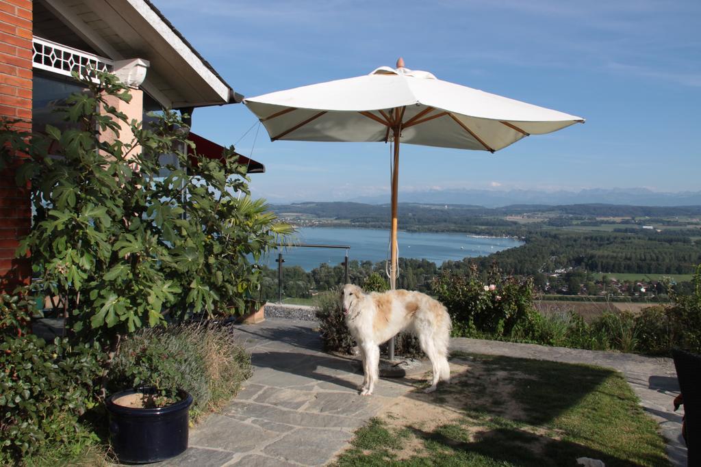 Bed and Breakfast Swiss Borzoi House Vully-les-Lacs Habitación foto