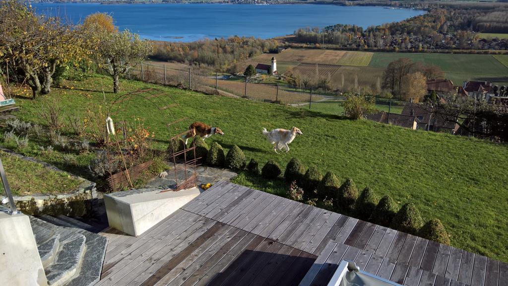 Bed and Breakfast Swiss Borzoi House Vully-les-Lacs Exterior foto