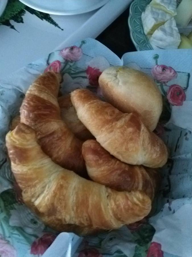 Bed and Breakfast Swiss Borzoi House Vully-les-Lacs Exterior foto